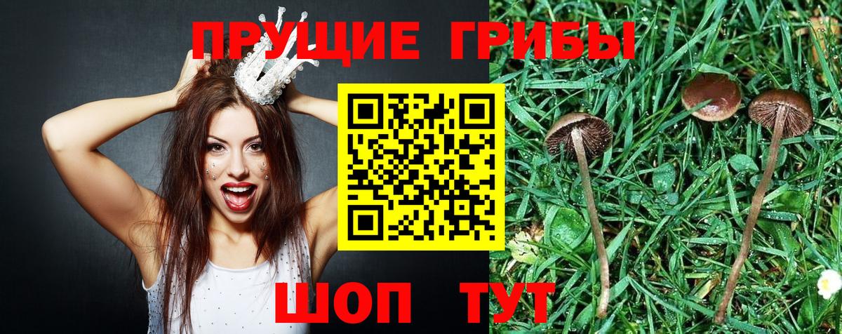 Муром  Псилоцибиновые грибы ЛСД  Вход с VPN 